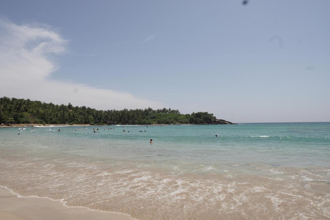 Surf Nest Hiriketiya Hotel ดิคเวลลา ภายนอก รูปภาพ